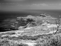 Przylądek Dobrej Nadziei, Cape of Good Hope